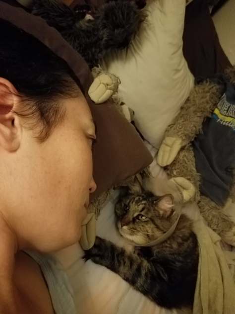 47138643_257638924905483_5512846753574944768_n